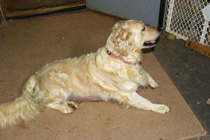 retriever_cassier_V1.html